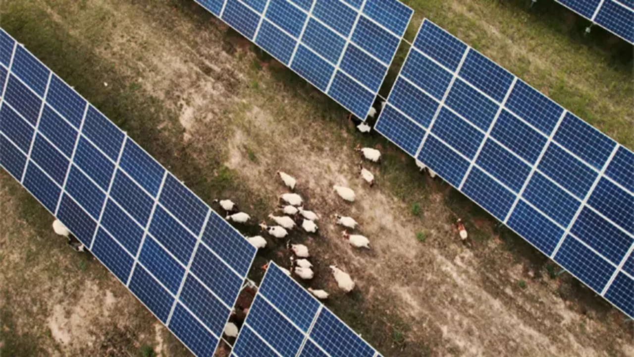 Impacto ambiental de painéis solares em desertos chineses