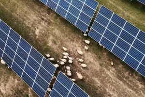 Impacto ambiental de painéis solares em desertos chineses